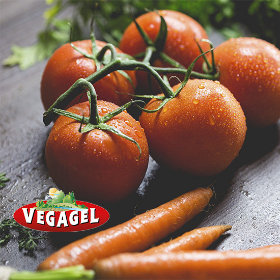 Vegagel